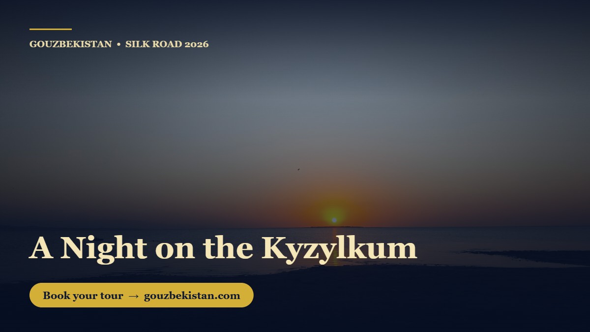 A Night on the Kyzylkum: Where the Silk Road Sky Still Has No Lights