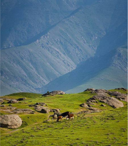 Природа Узбекистана